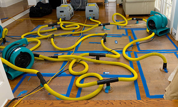 Professional Sewage Cleanup technician working in Grand Junction, IA
